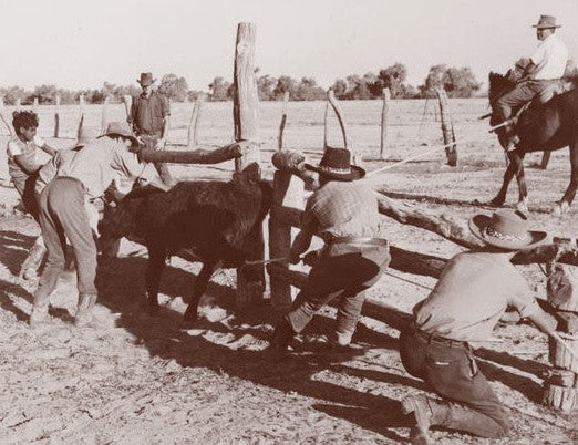 Brief History of Branding Irons