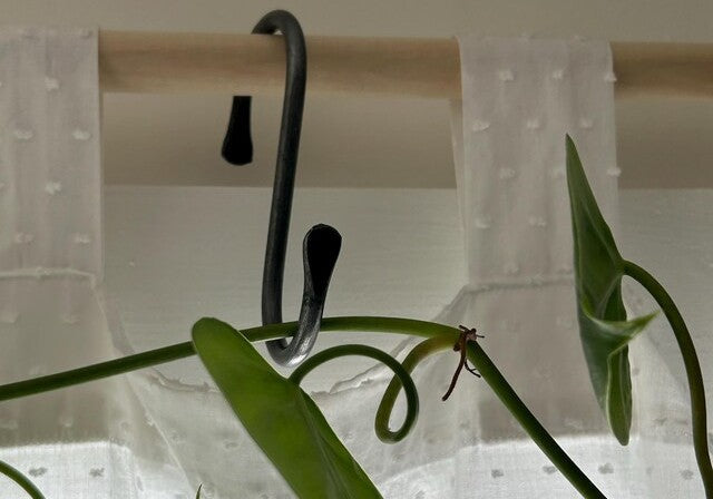 Hand-Forged S Hooks: A Simple, Durable Way to Hang More in Less Space