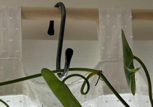 Hand-Forged S Hooks: A Simple, Durable Way to Hang More in Less Space